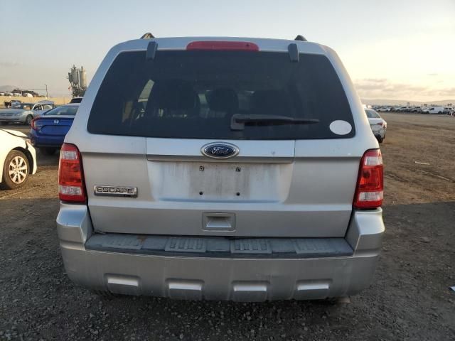 2010 Ford Escape XLT