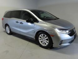 Salvage cars for sale at Wilmington, CA auction: 2021 Honda Odyssey LX