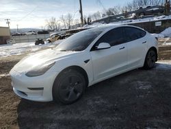 Salvage cars for sale at Marlboro, NY auction: 2023 Tesla Model 3