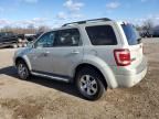 2008 Ford Escape Limited