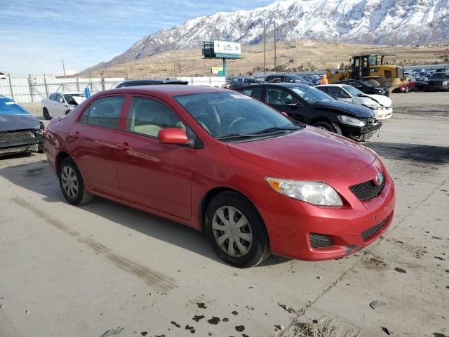 2009 Toyota Corolla Base