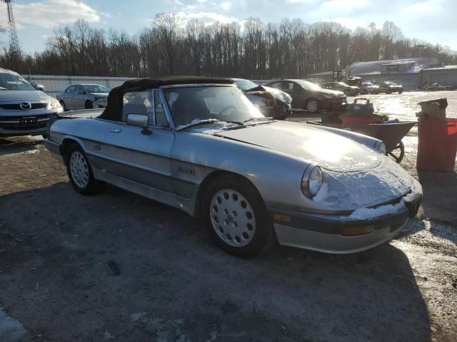 1986 Alfa Romeo Veloce 2000 Spider