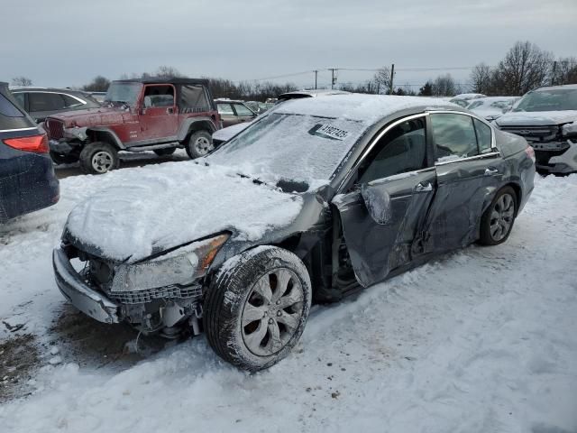 2008 Honda Accord EXL