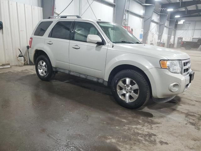 2009 Ford Escape Limited