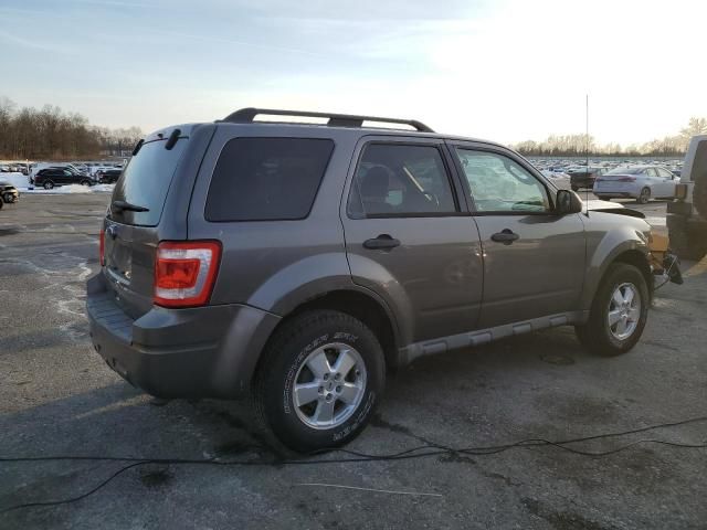 2011 Ford Escape XLT