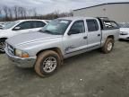 2001 Dodge Dakota Quattro