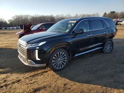 Salvage Cars with No Bids Yet For Sale at auction: 2023 Hyundai Palisade Calligraphy