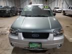 2007 Ford Escape HEV