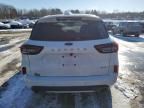 2023 Ford Escape ST Line