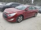 2013 Hyundai Sonata Hybrid