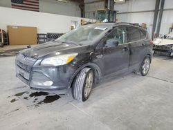 Salvage cars for sale at Greenwood, NE auction: 2015 Ford Escape SE