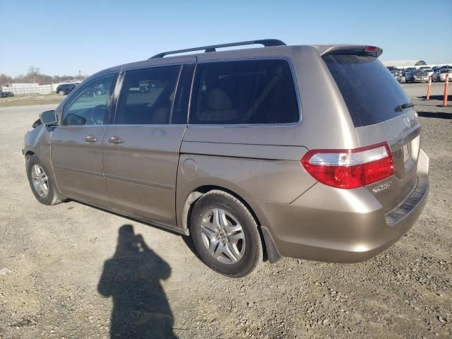 2006 Honda Odyssey EXL