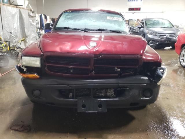 2003 Dodge Dakota SXT