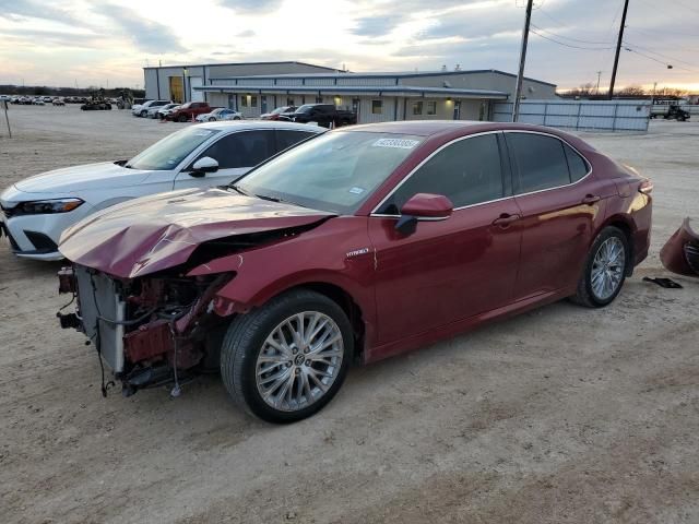 2019 Toyota Camry Hybrid