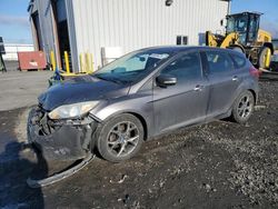 Salvage cars for sale at Airway Heights, WA auction: 2014 Ford Focus SE