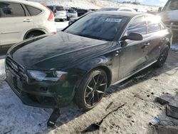 Salvage cars for sale at Littleton, CO auction: 2014 Audi A4 Premium