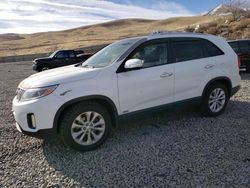 Buy Salvage Cars For Sale now at auction: 2014 KIA Sorento EX