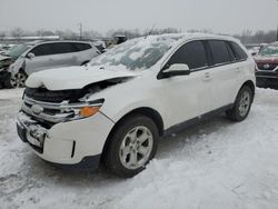 Salvage cars for sale at Louisville, KY auction: 2013 Ford Edge SEL