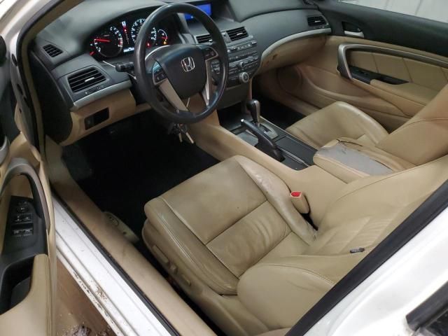 2008 Honda Accord EXL