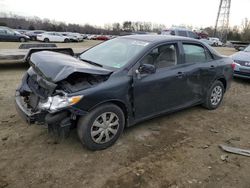 Salvage cars for sale from Copart Cleveland: 2010 Toyota Corolla Base