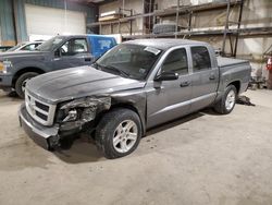 Dodge Vehiculos salvage en venta: 2011 Dodge Dakota SLT