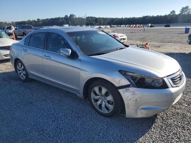 2010 Honda Accord EXL