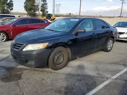 2010 Toyota Camry Base en venta en Rancho Cucamonga, CA