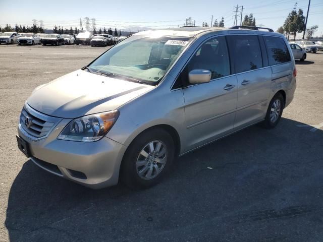 2009 Honda Odyssey EXL