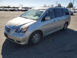 Honda Odyssey exl salvage cars for sale: 2009 Honda Odyssey EXL