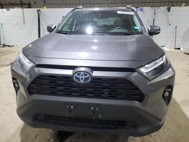 2022 Toyota Rav4 XLE Premium