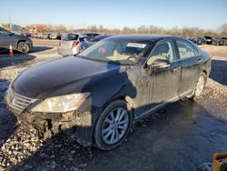 Salvage cars for sale at Columbus, OH auction: 2010 Lexus ES 350