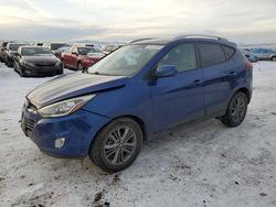 Salvage cars for sale at Helena, MT auction: 2015 Hyundai Tucson Limited