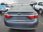 2015 Lexus ES 300H