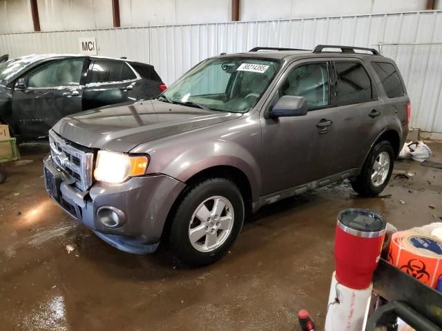 2010 Ford Escape XLT