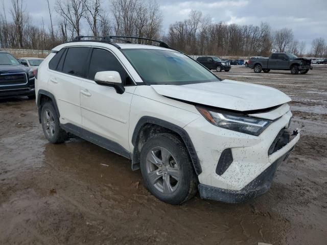 2023 Toyota Rav4 XLE