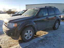 Lots with Bids for sale at auction: 2011 Ford Escape XLT