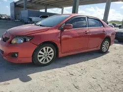 Toyota salvage cars for sale: 2009 Toyota Corolla Base