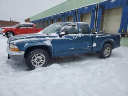 Salvage cars for sale at auction: 2003 Dodge Dakota SLT