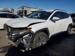 2023 Hyundai Tucson Blue en venta en San Martin, CA