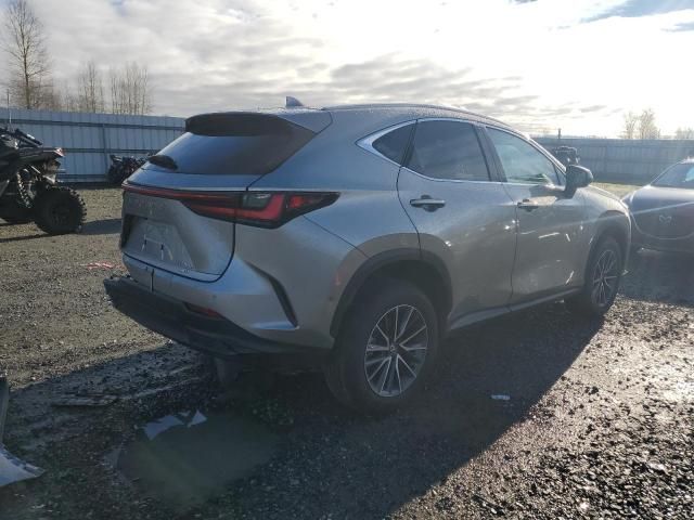 2025 Lexus NX 350H Base