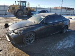 Salvage cars for sale at Chicago Heights, IL auction: 2020 Lexus IS 350 F Sport