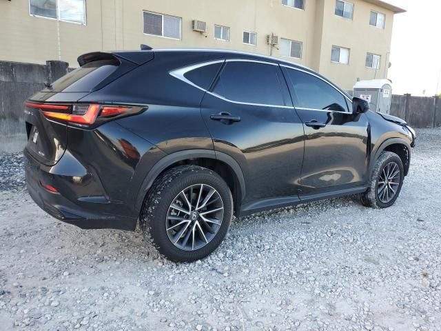 2024 Lexus NX 250 Premium