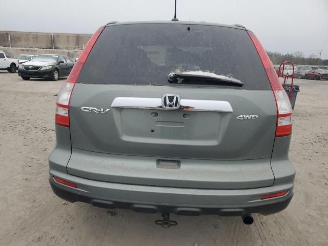 2010 Honda CR-V EXL