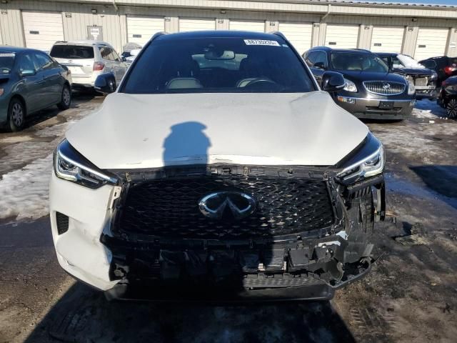 2021 Infiniti QX50 Luxe