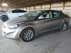 Salvage cars for sale at Phoenix, AZ auction: 2014 Hyundai Elantra SE