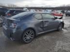 2014 Scion TC