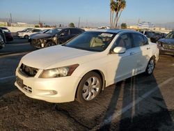 Honda salvage cars for sale: 2009 Honda Accord EXL