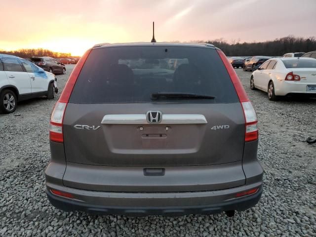 2010 Honda CR-V EX