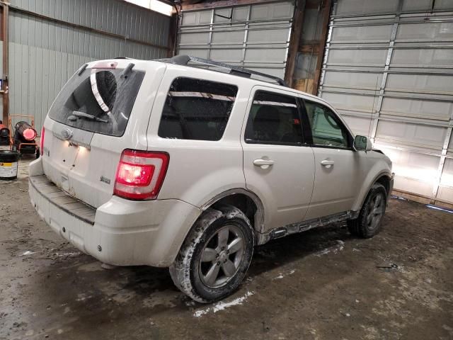 2011 Ford Escape Limited