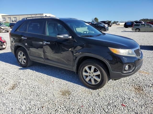 2011 KIA Sorento Base